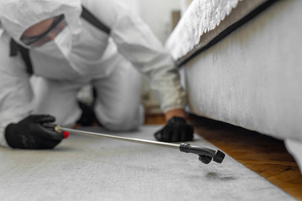 Professional Bed Bug Control technician working in Paducah, KY