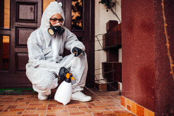 Reliable Bed Bug Control contractor in Paducah, KY by Nex Pest Control
